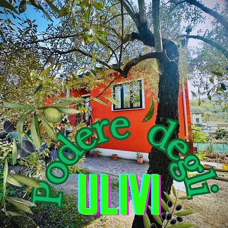 Podere Degli Ulivi Family Βίλα Serravalle Pistoiese Εξωτερικό φωτογραφία